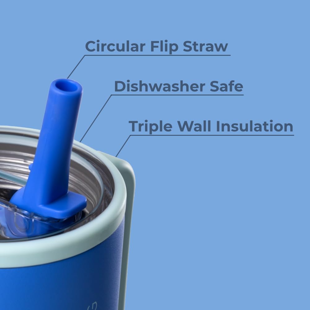 HydroJug Traveler - 32 oz Water Bottle with Handle & Flip Straw - Fits in Cup Holder, Leak Resistant Tumbler-Reusable Insulated Stainless Steel & Rubber Base - Gifts for Women & Men, Pink Sand